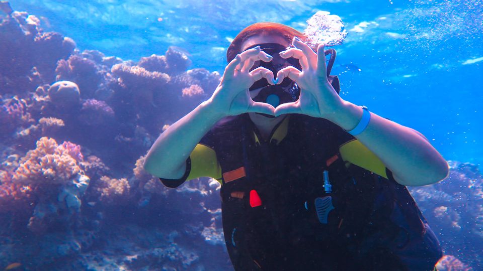 Diving Tour in Alanya - Dive Session Details