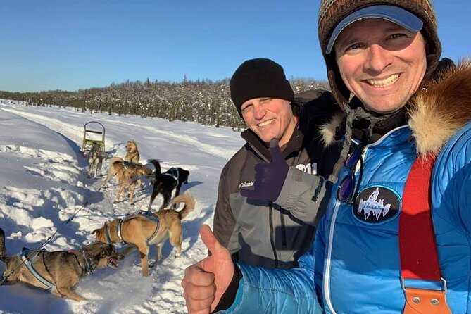 Dog Sledding Adventure in Willow, Alaska - Customer Reviews and Feedback