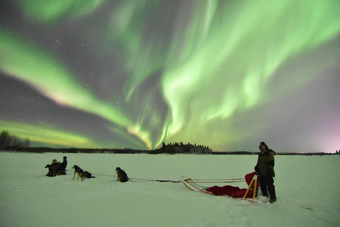 Dog Sledding and Mushing Experience in North Pole - Customer Reviews