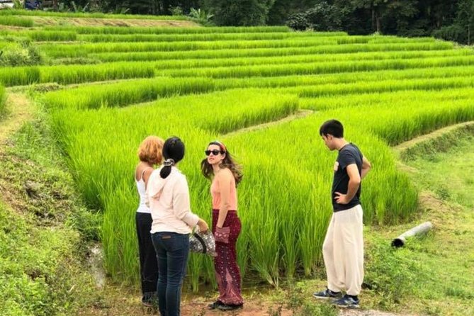 Doi Inthanon ,Waterfalls,Pagodas,Coffee Plantation, Hiking 2 Hrs. - Cultural Experience at Hmong Market