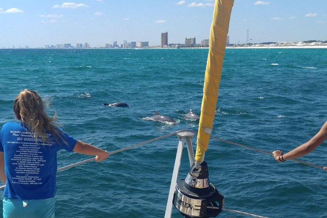 Dolphin Sightseeing Tour on the Footloose Catamaran From Panama City Beach - Tour Duration and Capacity