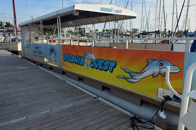 Dolphin Tour in St. Pete Beach - Tips for an Enjoyable Tour