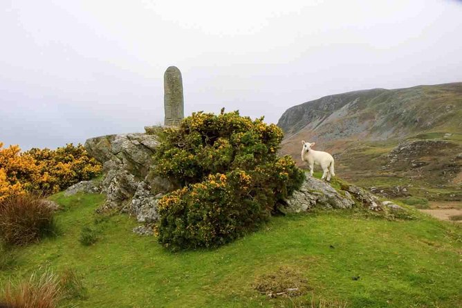 Donegal Coast One Day Self-Guided E-Bike Tour - Tour Inclusions