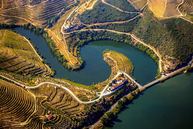 Douro Experience - Boat and Train Ride - Lunch and Wine Tasting - All Included - Customer Feedback