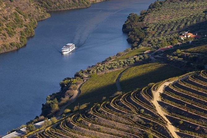 Douro Valley Cruise From Porto to Pinhão: Breakfast, Lunch and Tasting - Meeting Point and Pickup Details