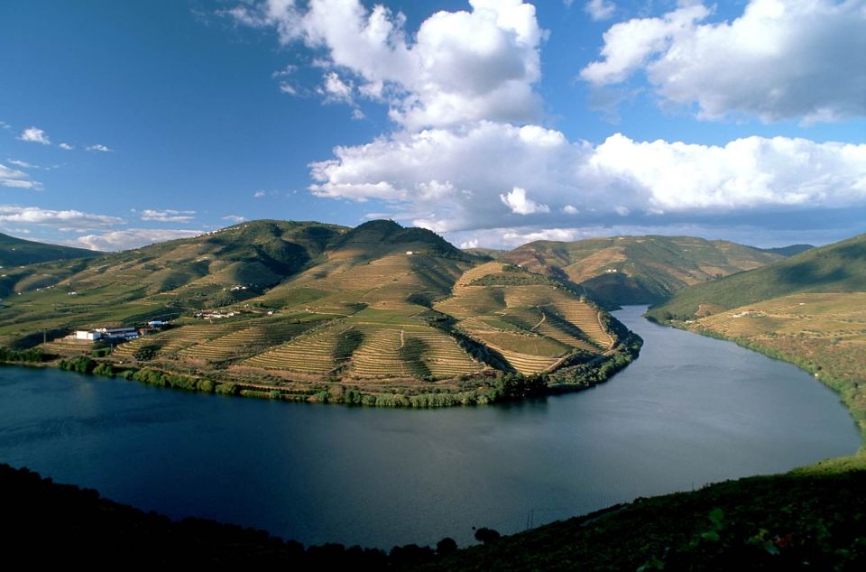 Douro Valley: Full-Day Private Wine Tour With Lunch - Included in the Tour