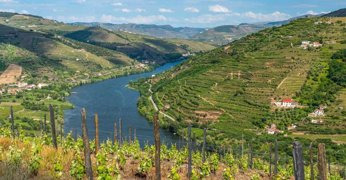 Douro: Wine Tasting and River Cruise Experience - Guided Wine Tastings at Quinta