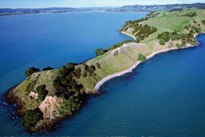 Duder Regional Park Half-Day Walking Tour - Group Size Information