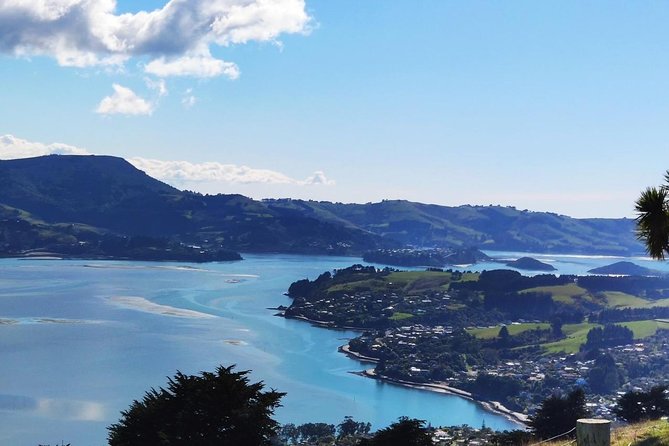 Dunedin City and Coastal Views 3-Hour Small-Group Guided Tour - Accessibility Features