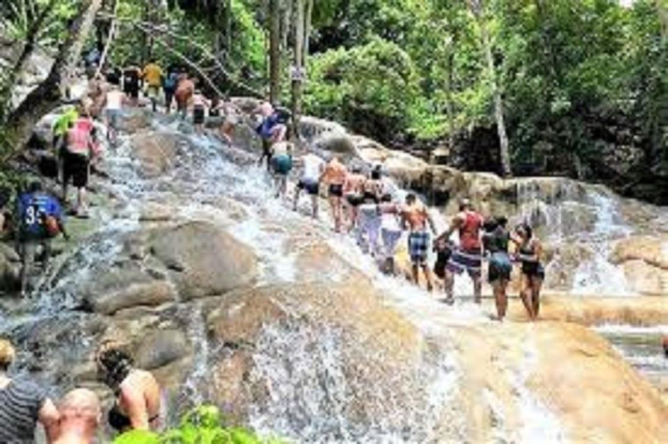 Dunns River Falls Day Tour - Transportation and Itinerary