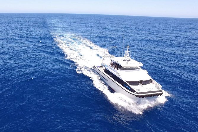 Dunsborough Whale Watching Eco Tour - Booking Process and Policies