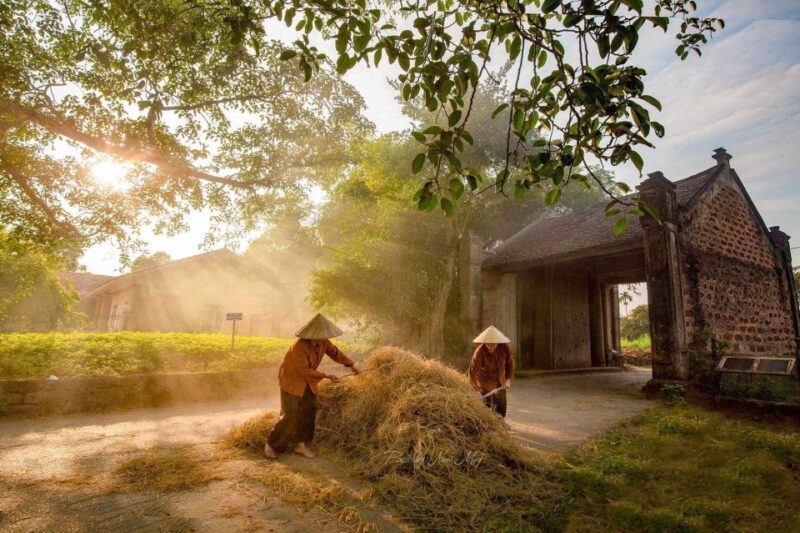 Duong Lam Ancient Village Adventure - Itinerary and Activities