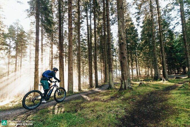 E-Bike Half-Day Trip to Harrys Rock or Corfé Castle - Health and Safety Guidelines