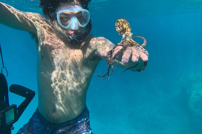 E-Scooter Snorkel With Photo and Video At Turtle Town - Pricing Details