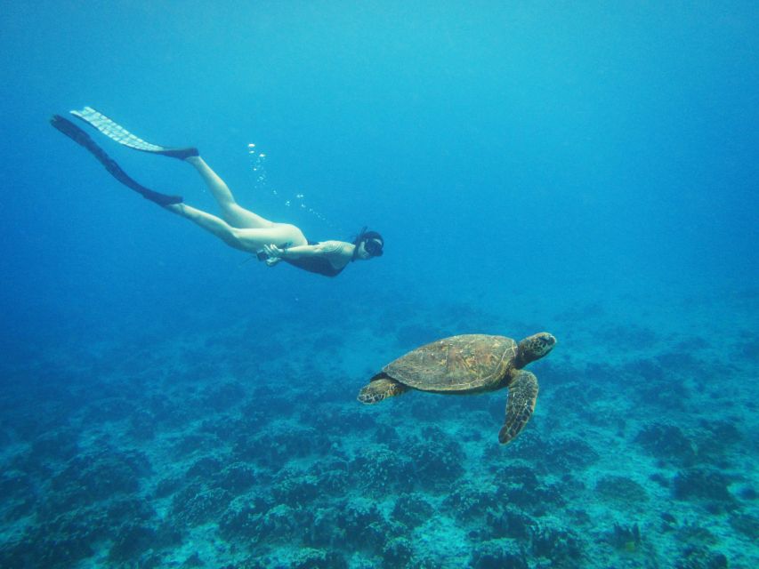 Easter Island: Snorqueling Tour on Coral Reefs - Itinerary Highlights