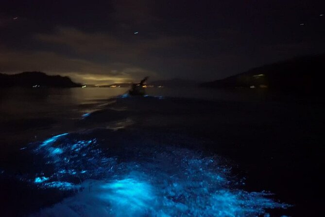 Eddys Bioluminescence Reserve in Punta Cuchillos - Pricing Details