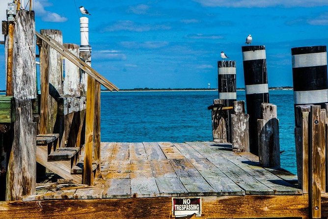 Egmont Key Snorkeling Dolphin Tour - Snorkeling Options