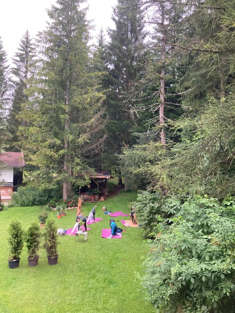 Ehrwald: Mountain Yoga Class - Class Structure and Inclusions