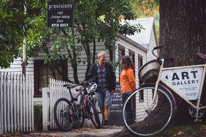 Electric Mountain Bike Hire on Queenstown Trail - Experience Highlights