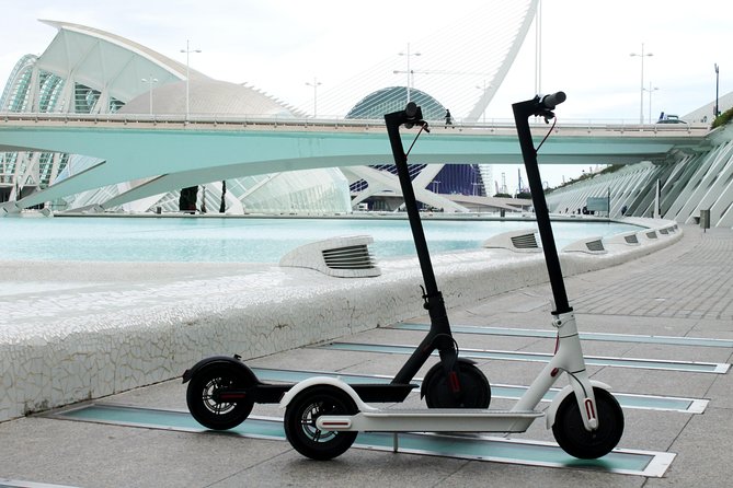 Electric Scooter Rental - Customer Reviews and Ratings