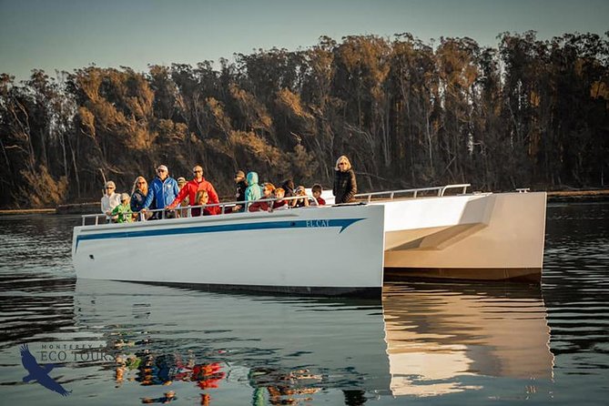 Elkhorn Slough Wildlife Tour - Guest Experiences and Feedback