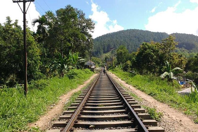 Ella Rock Hiking Tours ( Sunrise-Tour ,Good Morning Tour,Sunny Afternoon Tour ) - Transportation and Pickup Details