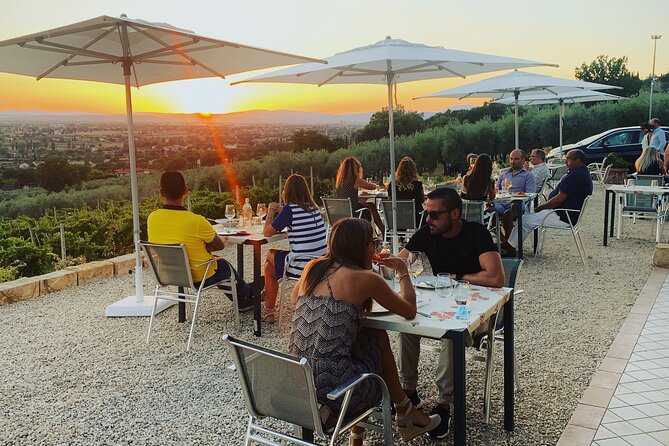 Enjoy and Taste the Flavors of Wine in an Open-air Venue - Discovering the Organic Vineyards and Olive Groves