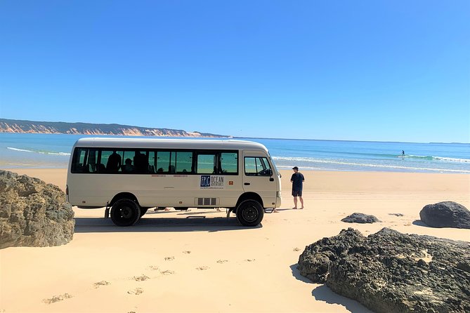 Epic Kayak With Dolphins & Wildlife - 4WD Beach Adventure Noosa - Participant Information