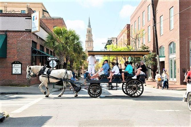 Evening Horse-Drawn Carriage Tour of Downtown Charleston - Visitor Experience and Feedback