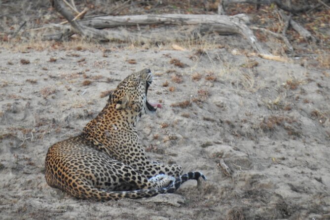 Evening Safari - Yala National Park With Janaka Safari - 02.00 Pm to 06.30 Pm - Booking Options
