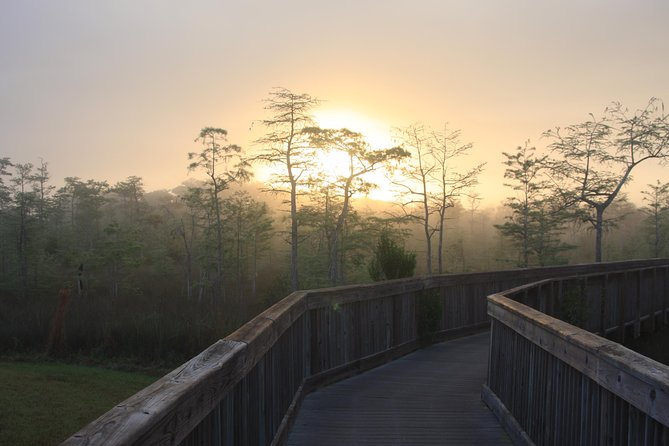 Everglades Day Safari From Fort Myers/Naples Area - Transportation and Logistics