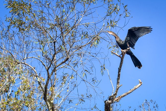 Everglades Guided Kayak Tour - Health and Safety Guidelines