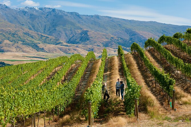 Exclusive Central Otago Wine Tour - Departs Queenstown - Pickup Information