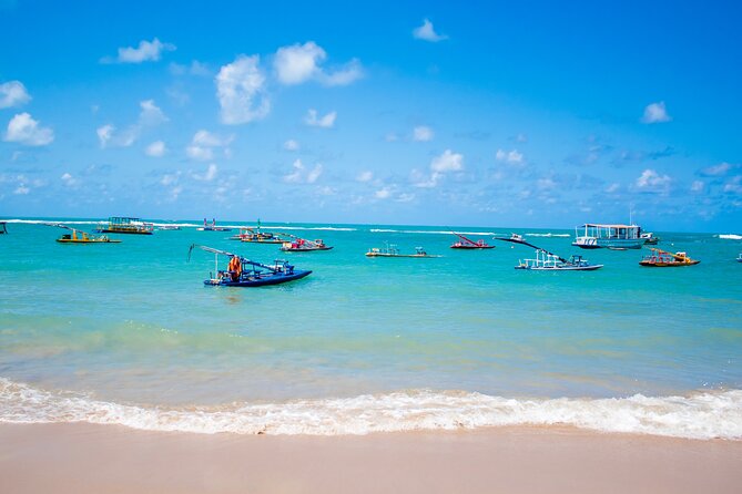 Excursion to Porto De Galinhas in Pernambuco - Inclusions and Services