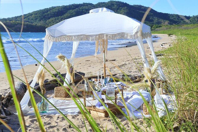Experience a Luxurious and Unique Beach Picnic Near Tamarindo - Gourmet Food and Beverage Options