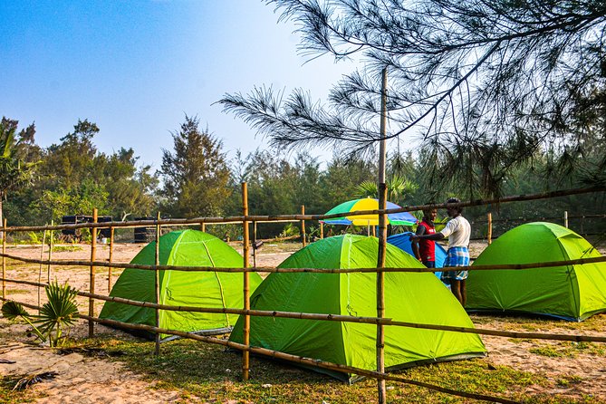 Experience Beach Camping - Activities to Enjoy