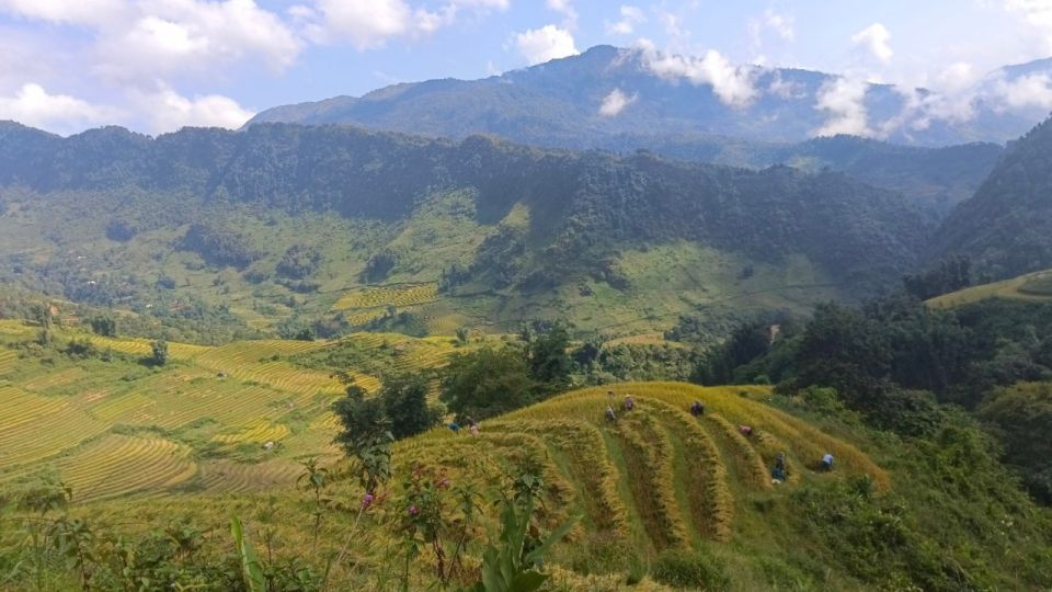 Experience The Real Sapa - Off The Beaten Track - Cultural Experiences