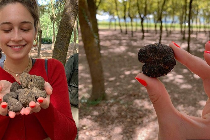 Experience Tuscan Truffle Hunting With Wine and Lunch - Participant Requirements