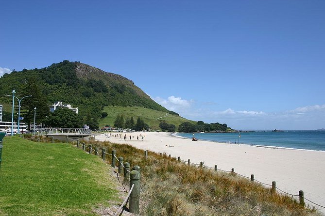 Explore Mount Maunganui: Self-Guided Audio Tour - Starting and Ending Points