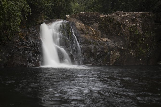 Explore Sinharaja Rainforest - Discovery Tour (Half Day) - Included Equipment