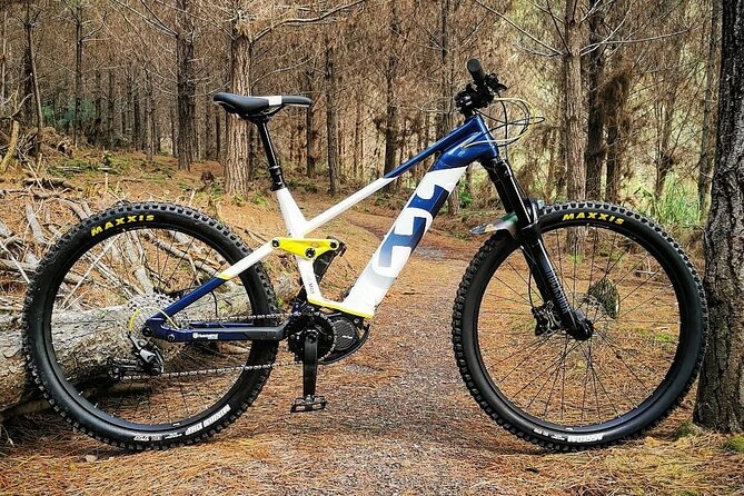 Explore the Waitangi MTB Park on Electric Bikes - Booking and Pricing Information