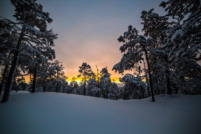 Explore the Wilderness - Flexible Itinerary Tailored for You