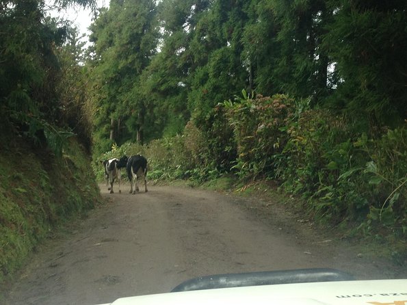 Explore With Our Guides the West Side & Sete Cidades on a Surprising 4x4tour - Meeting and Pickup Details