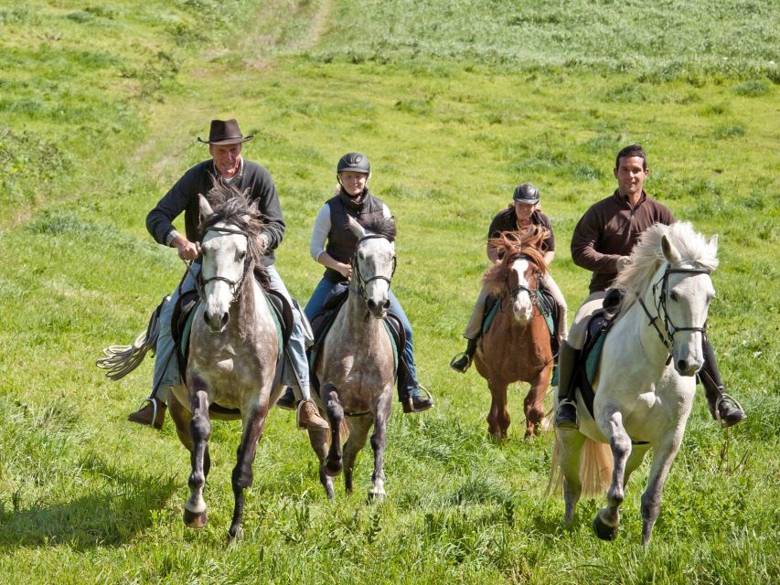 Faial Island: Horseback Riding (3 Hrs - Experienced Riders) - Inclusions