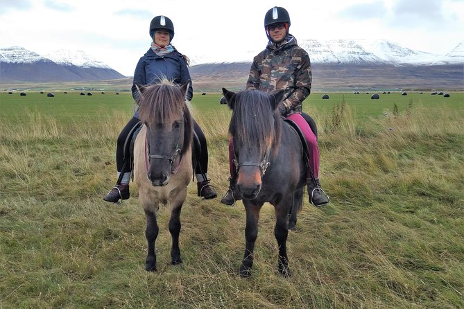 Family Friendly Horse Riding Tour in Skagafjörður - Whats Included in the Tour