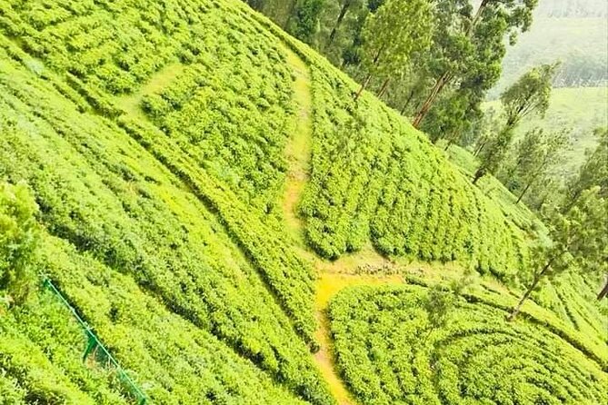 Family-Friendly Private Galle City Tour - Family-Friendly Activities