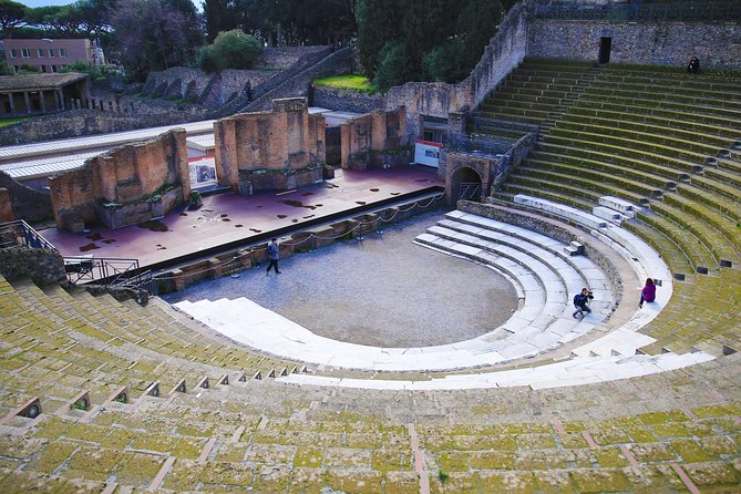 Fast Access Exclusive Private Ancient Pompeii Half Day Tour With Local Guide - Pricing and Booking Options