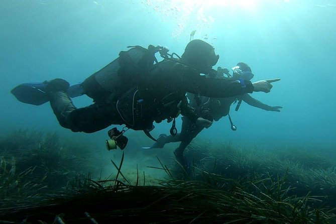 First Scuba Diving Experience With Instructor - Malta - Exploring Maltas Marine Life and Flora