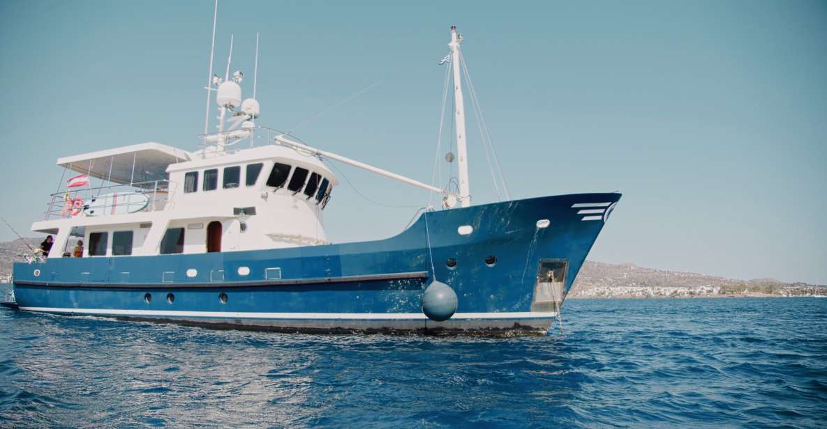 Fishing & Sea Tour - Features of the Boat