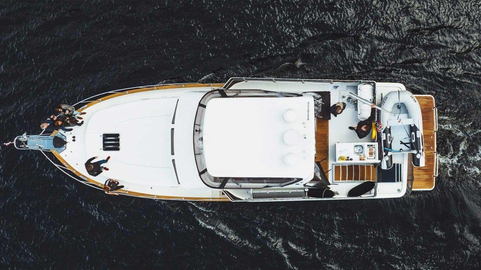 Fjord & Celebrity Yacht Cruise - Itinerary and Highlights